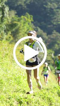 BIB:  <button type="button" onclick="openModal(26573758)" class="btn btn-primary btn-sm float-right" data-toggle="modal" data-target=".modal-high-quality">
                <i class="fa fa-download"></i> Download
                </button>